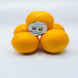 Valencia Orange for Juice